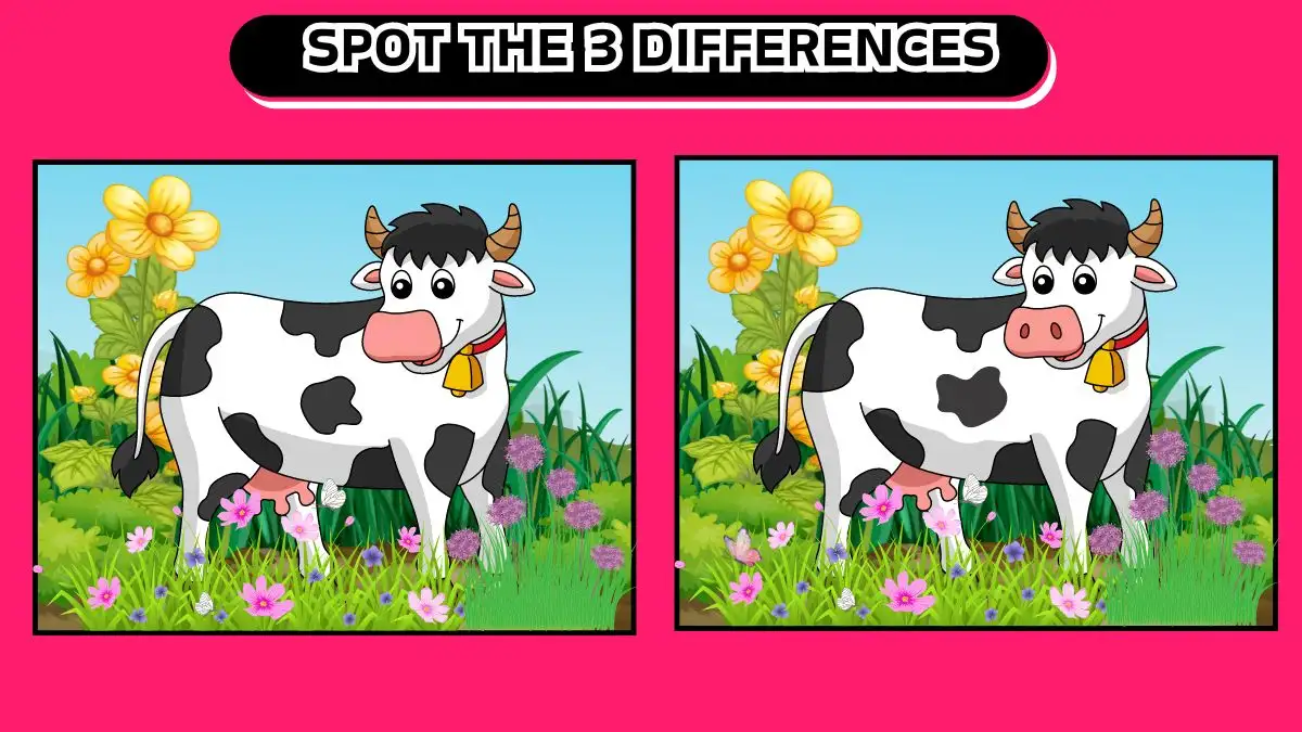Illusione ottica: riesci a individuare 3 differenze in 15 secondi?