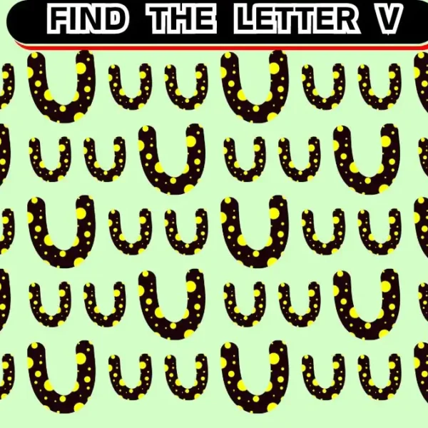 Illusione ottica: riesci a trovare la lettera V in 10 secondi?