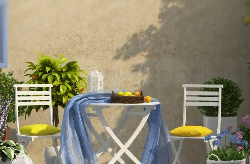 Quale albero per un balcone soleggiato? 5 varietà che prosperano in contenitore e amano il sole