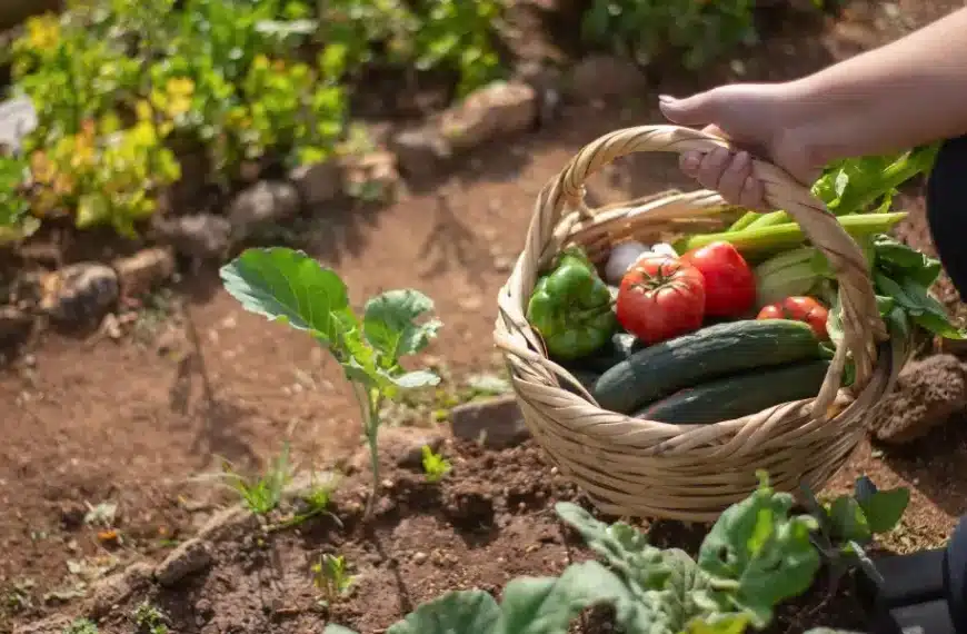 Suggerimenti per un giardino rigoglioso a luglio: manutenzione, semina, piantumazione e consigli pratici