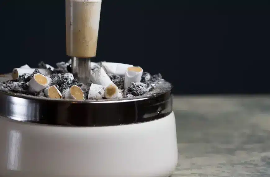 Scoprite la pianta miracolosa che eliminerà per sempre l’odore di tabacco dalla vostra casa!