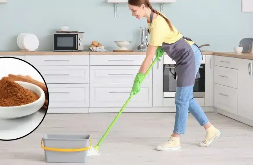 Scoprite i sorprendenti benefici dell’aggiunta di cannella all’acqua di lavaggio per ottenere pavimenti senza macchie!