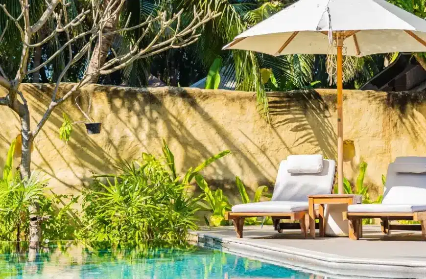 Come creare un’atmosfera tropicale intorno alla piscina: i nostri consigli per trasformare il giardino in un’oasi esotica