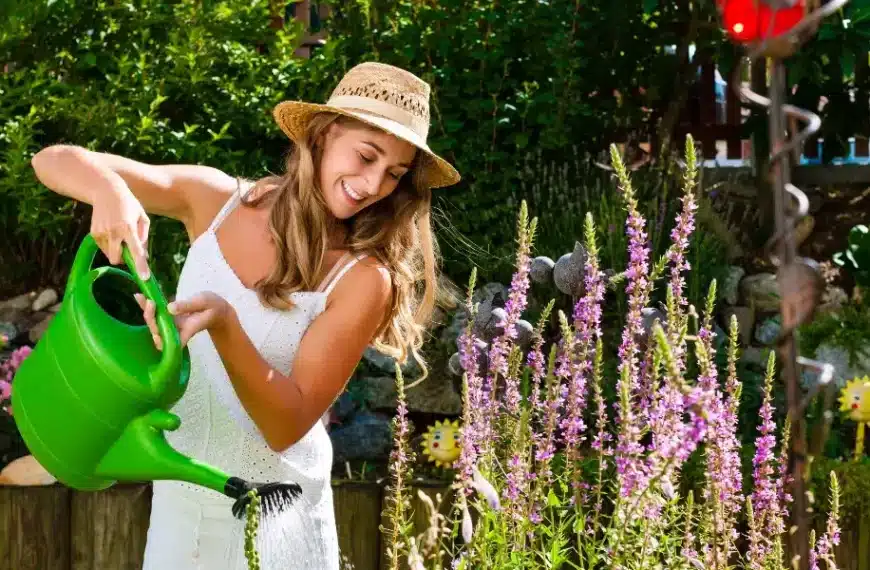 Tempo caldo: ecco il momento esatto per innaffiare il giardino
