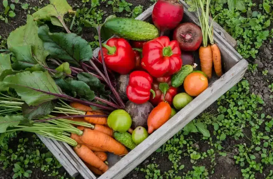 Coltivare la sostenibilità: 7 ortaggi perenni per un orto che dura nel tempo, i nostri consigli di giardinaggio