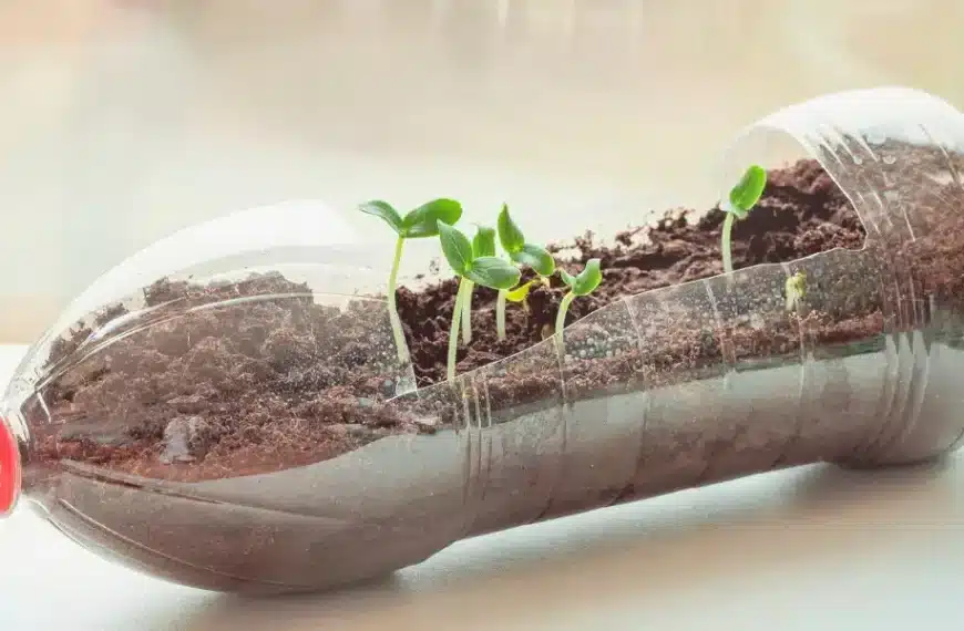 Come trasformare una bottiglia di plastica per il tuo giardino: 4 idee creative da provare subito