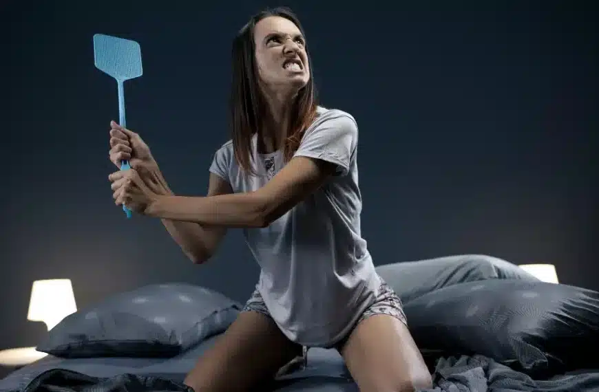 Come si può evitare che gli insetti entrino in camera da letto di notte con la finestra aperta?