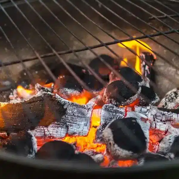 Perché non dovreste buttare via le ceneri del barbecue quest’estate: modi ingegnosi per riutilizzarle in giardino
