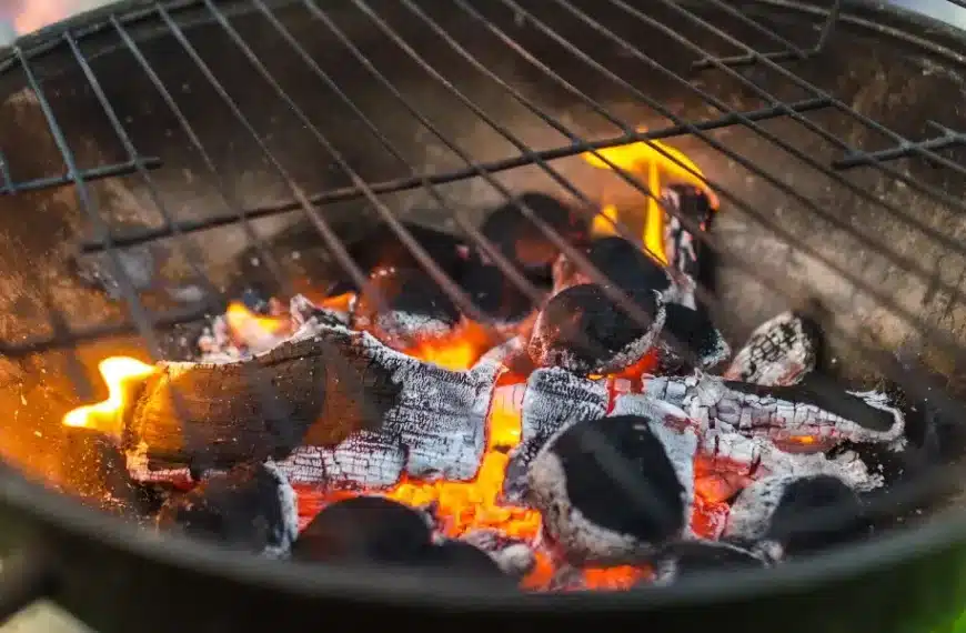 Perché non dovreste buttare via le ceneri del barbecue quest’estate: modi ingegnosi per riutilizzarle in giardino