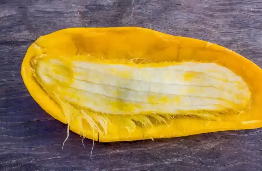 Come piantare un seme di mango e coltivarlo con successo in 5 semplici passi?