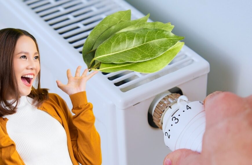 Scoprite il trucco di mettere delle foglie di alloro sul termosifone per un inverno più accogliente!