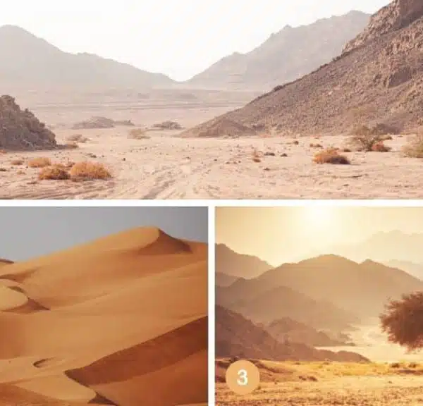 Test della personalità: quale deserto scegli? Scoprite il vostro stile di risoluzione dei conflitti in un colpo d’occhio!