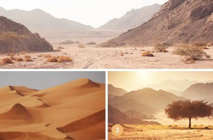 Test della personalità: quale deserto scegli? Scoprite il vostro stile di risoluzione dei conflitti in un colpo d’occhio!