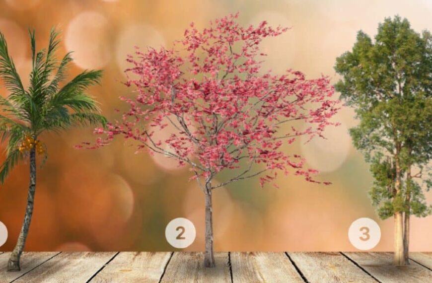 Test della personalità: quale di questi 3 alberi vi piace? Tuffatevi nelle radici della vostra anima per scoprire se siete più introspettivi o estroversi!