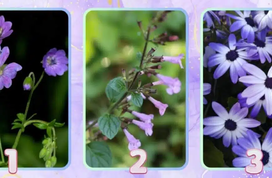 Test della personalità: quale fiore viola ti rappresenta? Rivela il tuo stile unico di eleganza!
