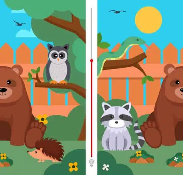 Sfida visiva: riuscite a individuare le due differenze tra queste due immagini in meno di 8 secondi?