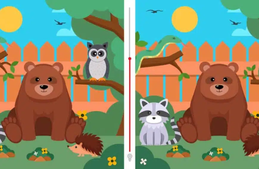 Sfida visiva: riuscite a individuare le due differenze tra queste due immagini in meno di 8 secondi?
