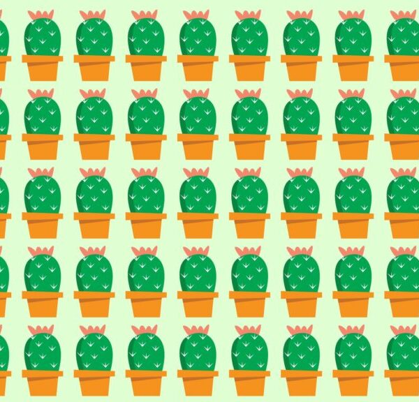 Sfida visiva: riuscite a risolvere questo difficile rompicapo e a trovare l’intruso nascosto tra i cactus in meno di 10 secondi?
