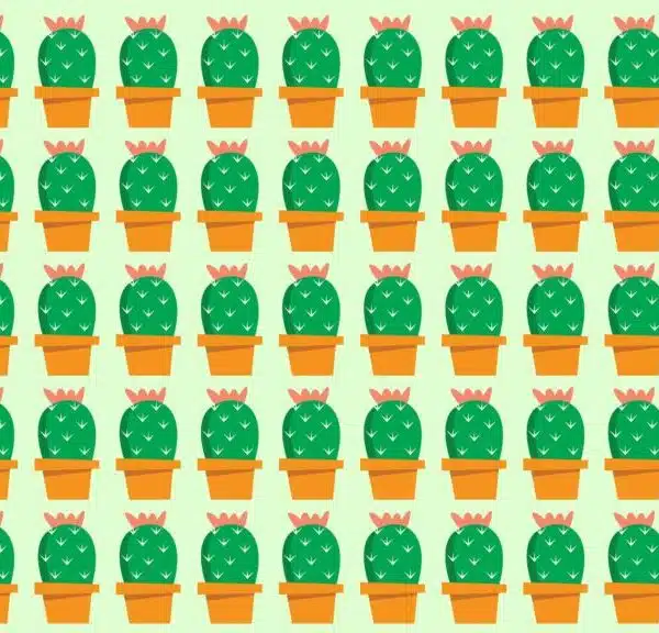 Sfida visiva: riuscite a risolvere questo difficile rompicapo e a trovare l’intruso nascosto tra i cactus in meno di 10 secondi?