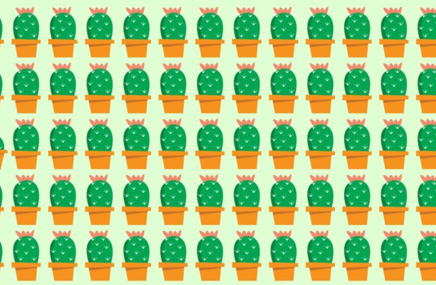 Sfida visiva: riuscite a risolvere questo difficile rompicapo e a trovare l’intruso nascosto tra i cactus in meno di 10 secondi?
