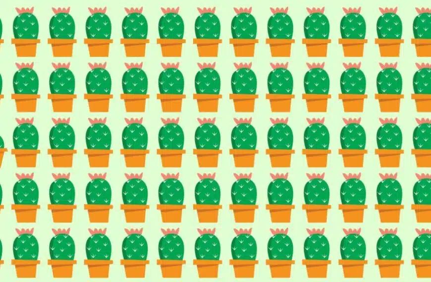 Sfida visiva: riuscite a risolvere questo difficile rompicapo e a trovare l’intruso nascosto tra i cactus in meno di 10 secondi?