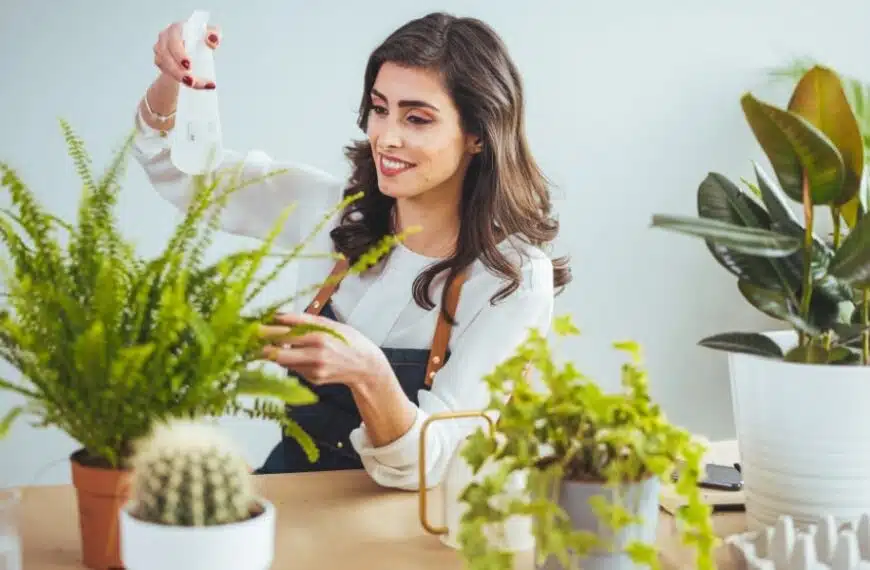 Come prendersi cura delle piante d’appartamento per un interno verde?