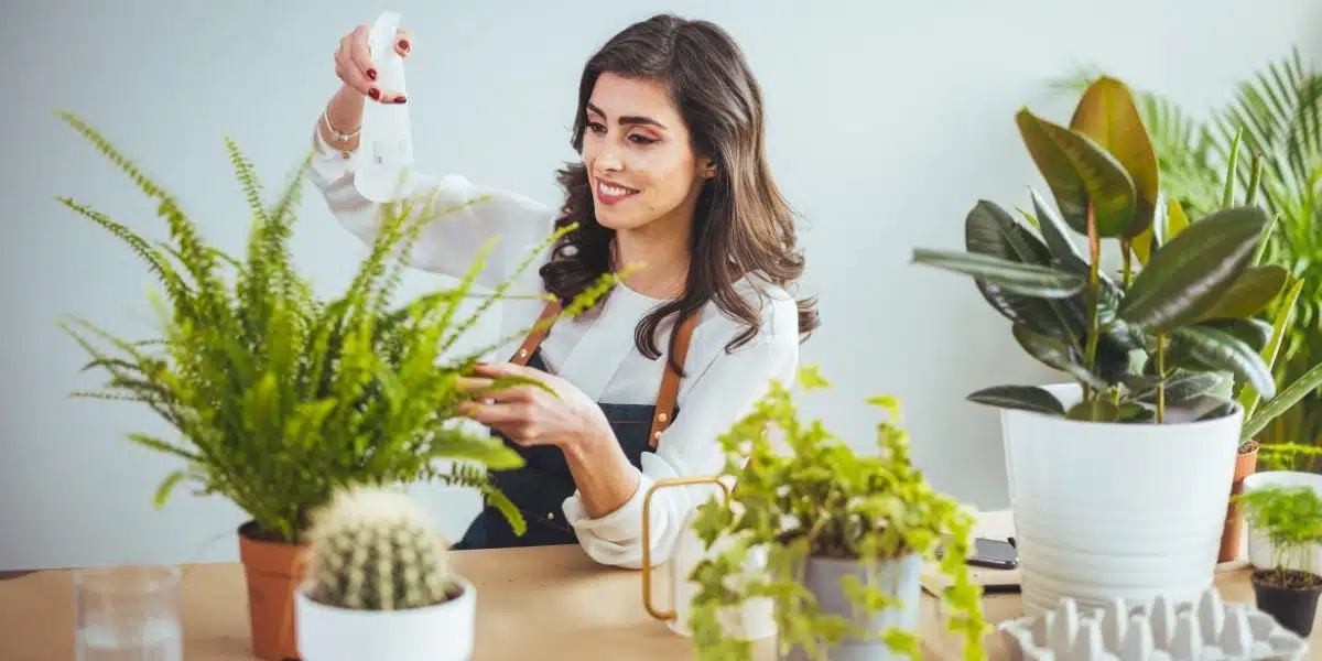 Come prendersi cura delle piante d’appartamento per un interno verde?