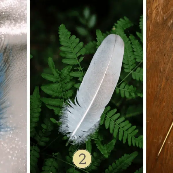 Test della personalità: sei il re delle feste o l’anima solitaria? Seleziona una delle 3 piume per rivelare i segreti della tua natura festosa!