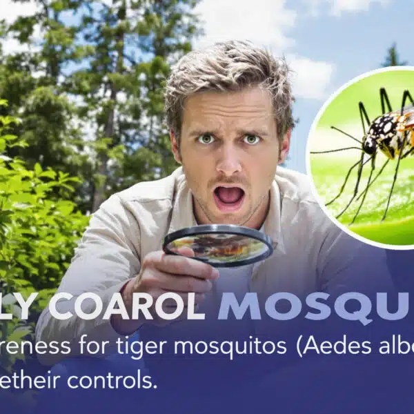scopri come riconoscere le zanzare tigre, distinguendole dalle altre specie, e impara i migliori metodi per prevenirne la diffusione e proteggere la tua casa dall’invasione.