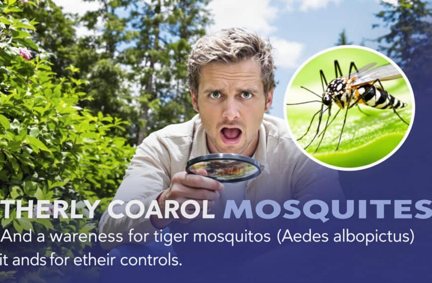 scopri come riconoscere le zanzare tigre, distinguendole dalle altre specie, e impara i migliori metodi per prevenirne la diffusione e proteggere la tua casa dall’invasione.