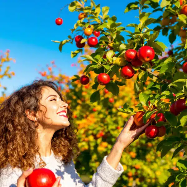 scopri le 8 attività fondamentali da svolgere in autunno e inverno per prenderti cura degli alberi da frutto e assicurarti raccolti abbondanti e gustosi nelle prossime stagioni!